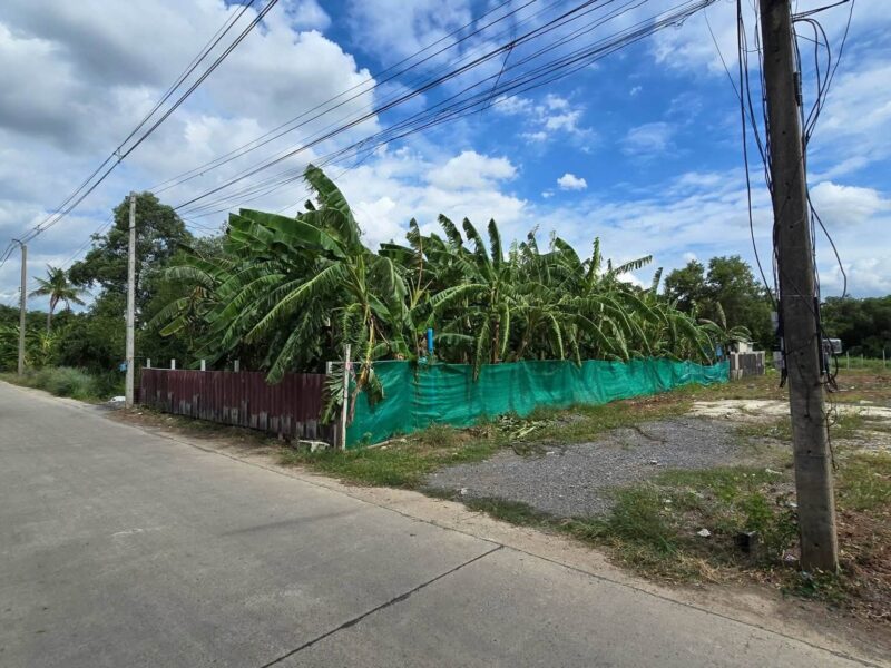 ขายที่ดิน 200 ตรว ติดถนนคอนกรีตสาธารณะ ถมแล้ว ซ.คลองสี่ ตอ.36 คลองหลวง ปทุมธานี