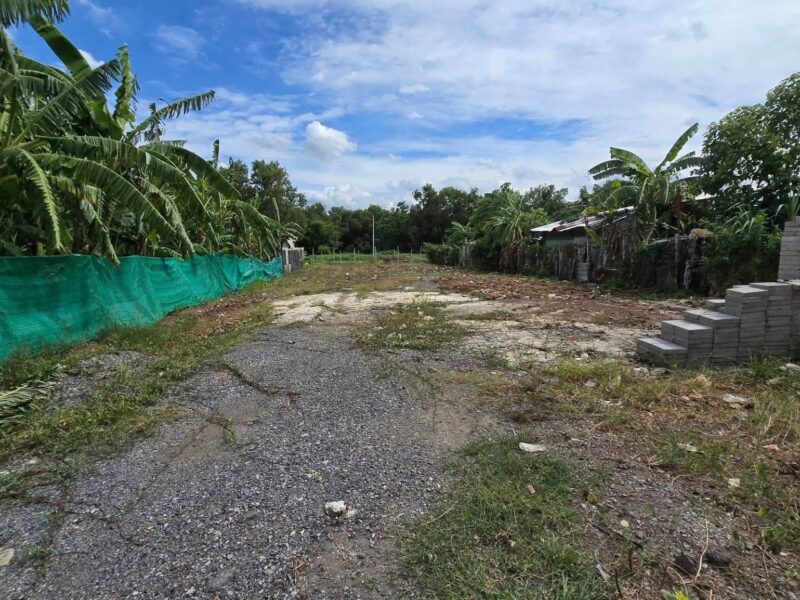 ขายที่ดิน 200 ตรว ติดถนนคอนกรีตสาธารณะ ถมแล้ว ซ.คลองสี่ ตอ.36 คลองหลวง ปทุมธานี