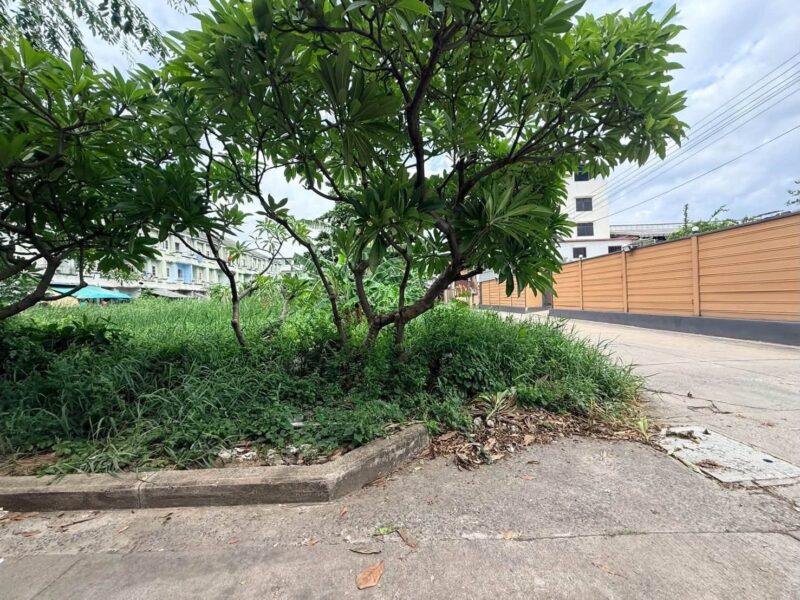 ขายด่วนที่ดินใกล้รพ.สินแพทย์ เทพารักษ์ 199 ตรว ติดถนนคอนกรีต 2 ด้าน แปลงมุม ซ.สินทวี เมืองสมุทรปราการ