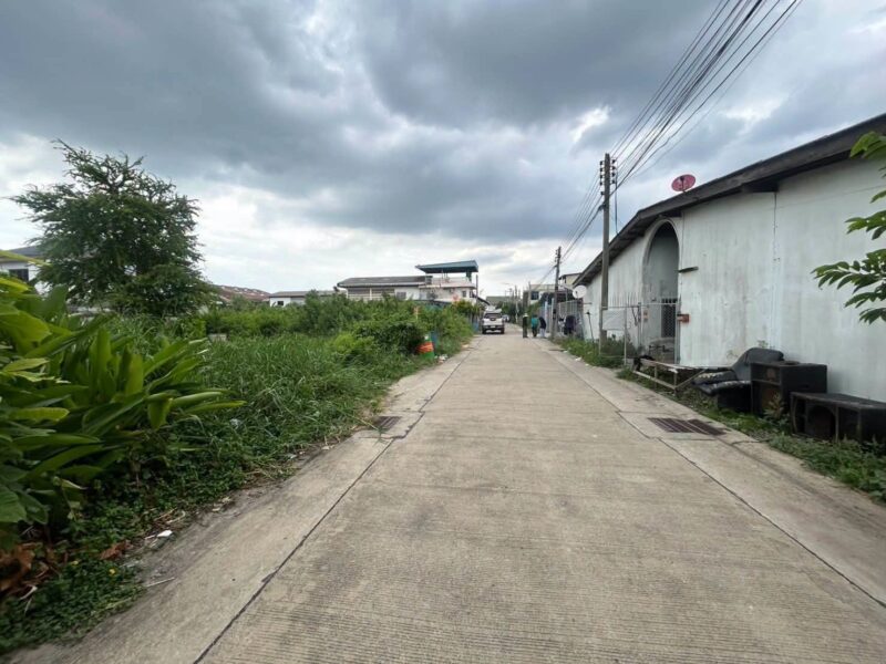 ขายด่วนที่ดินผังม่วง 101 ตรว ติดถนนคอนกรีต ถมแล้ว ซ.นวนทอง 23 กระทุ่มแบน สมุทรสาคร