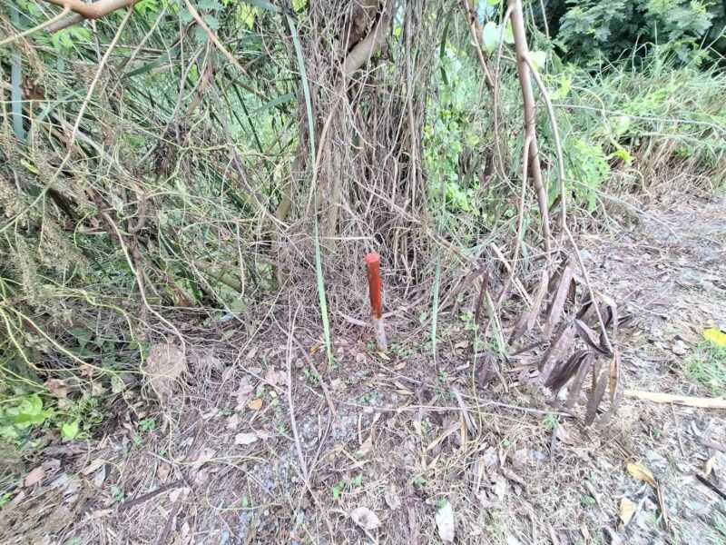 ขายด่วนที่ดินใกล้ราชภัฏสวนสุนันทา 624 ตรว ติดถนนสาธารณะ คลองโยง พุทธมณฑล นครปฐม