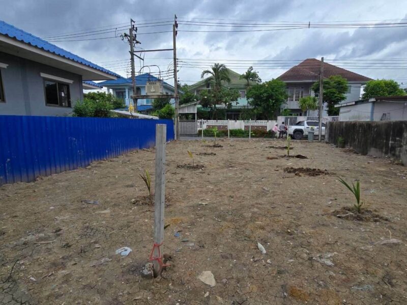 ขายที่ดินใกล้ม.กรุงเทพธนบุรี 61 ตรว ติดถนนสาธารณะ ถมแล้ว+ล้อมรั้วลวดหนาม ซ.ทวีวัฒนา-กาญจนาภิเษก 22 ตลิ่งชัน กทม.