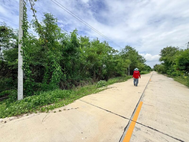 ขายด่วนที่ดิน 210 ตรว ติดถนนคอนกรีตสาธารณะ ซ.ศาลาครุ 47 คลอง 13 หนองเสือ ปทุมธานี