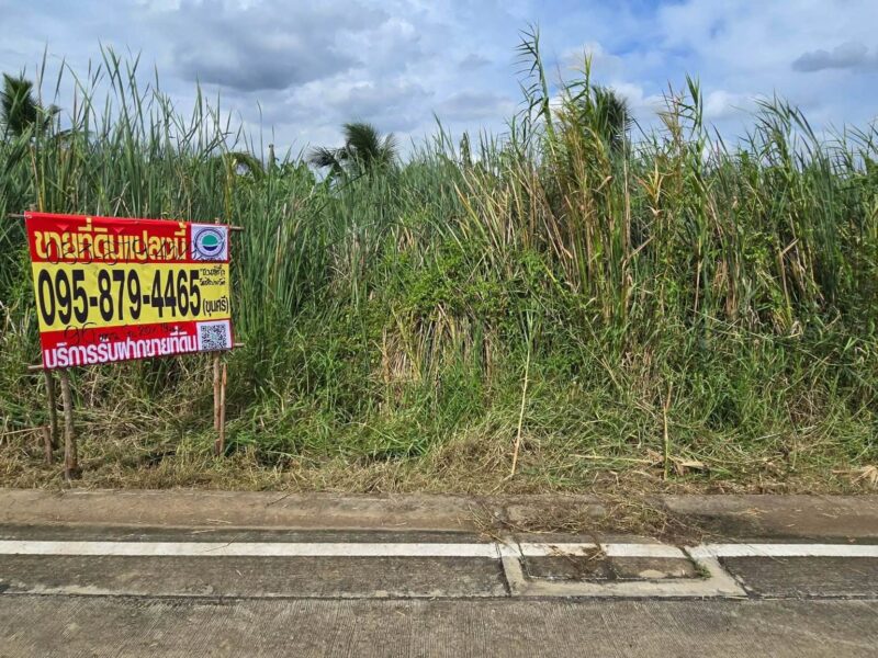 ขายด่วนที่ดิน 96 ตรว ติดถนนคอนกรีตสาธารณะ ซ.นายตึ๋ง บางกรวย นนทบุรี
