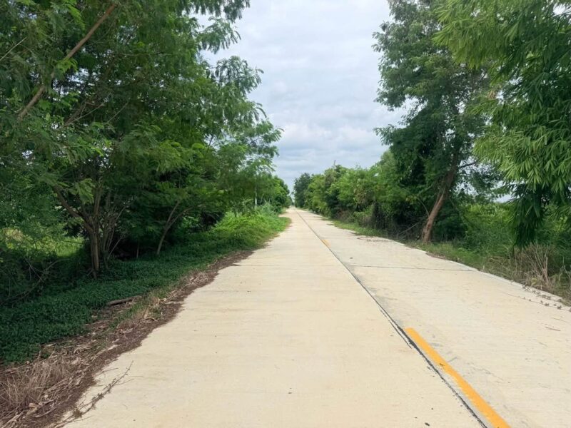 ขายด่วนที่ดิน 210 ตรว ติดถนนคอนกรีตสาธารณะ ซ.ศาลาครุ 47 คลอง 13 หนองเสือ ปทุมธานี