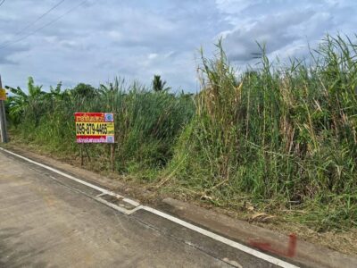 ขายด่วนที่ดิน 96 ตรว ติดถนนคอนกรีตสาธารณะ ซ.นายตึ๋ง บางกรวย นนทบุรี