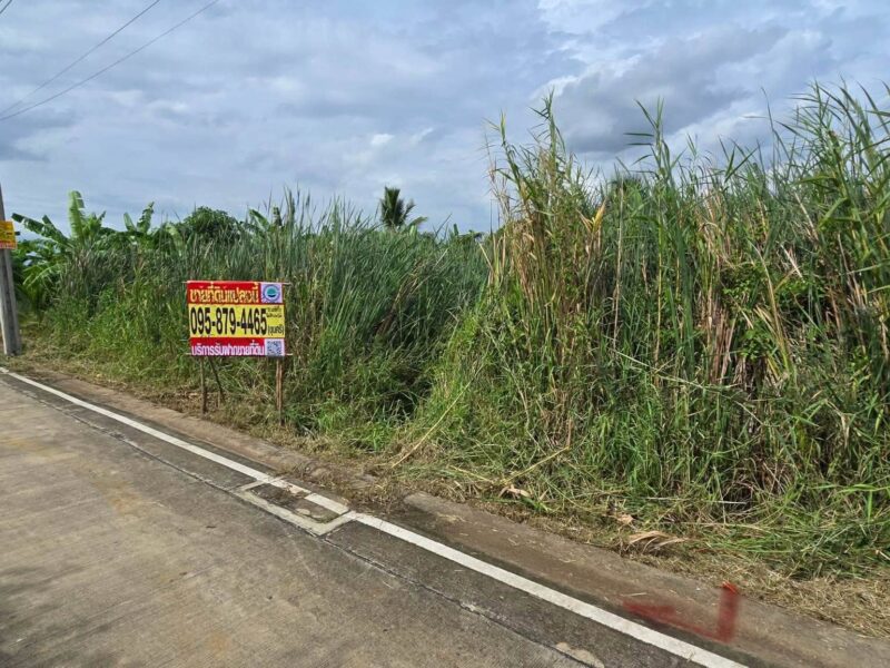 ขายด่วนที่ดิน 96 ตรว ติดถนนคอนกรีตสาธารณะ ซ.นายตึ๋ง บางกรวย นนทบุรี