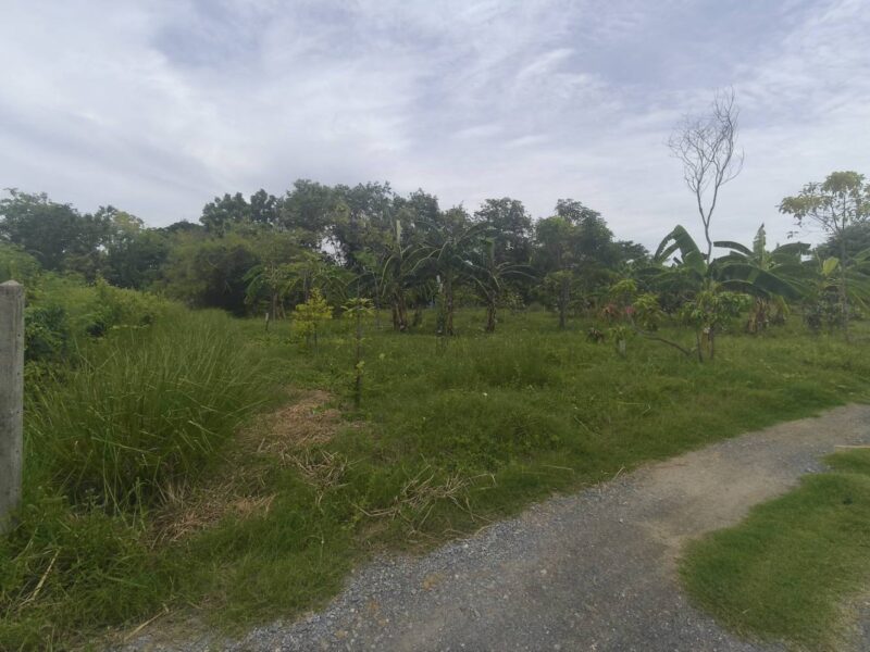 ขายที่ดินเปล่า 1 ไร่ (400 ตร.ว.) ต.มาบแค อ.เมืองนครปฐม โฉนดครุฑแดง พร้อมโอน เจ้าของขายเอง 1,850,000 บาท