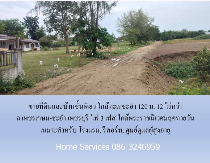 ขายที่ดินและบ้านชั้นเดียว ใกล้ทะเลชะอำ 120 ม. 12 ไร่กว่า ถ.เพชรเกษม-ชะอำ เพชรบุรี ไฟ 3 เฟส ใกล้พระราชนิเวศมฤคทายวัน เหมาะสำหรับ โรงแรม, รีสอร์ท, ศูนย์ดูแลผู้สูงอายุ