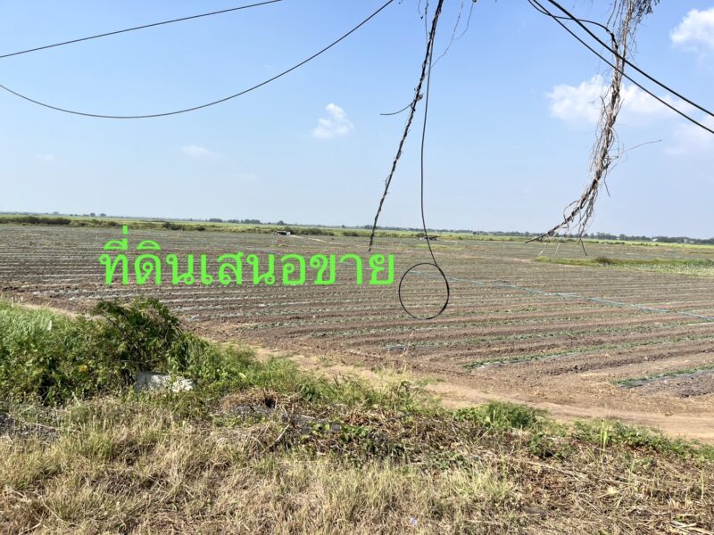 ขายที่ดินติดถนนสายอยุธยา อ่างทอง 083 610 6693