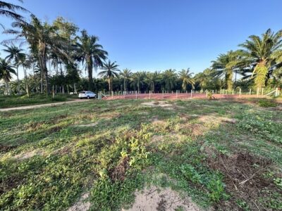 ที่ดินบ้านให้เช่าและขายราคาดี ที่ติดทะเลหาดผาแดงฝั่งแดง ประจวบ ดูแลหลังการขาย โฉนดพร้อมโอน บางสะพานน้อยที่ริมเล