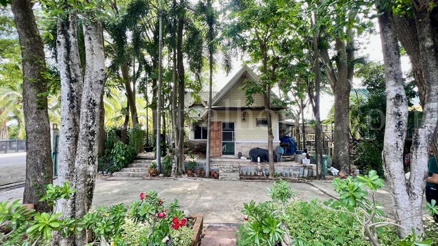 จองด่วน ที่ดิน 2 ไร่ พร้อมสิ่งปลูกสร้าง สไตล์คาเฟ่ ไทรน้อย - นนทบุรี ขุนศรี ทำเลดี