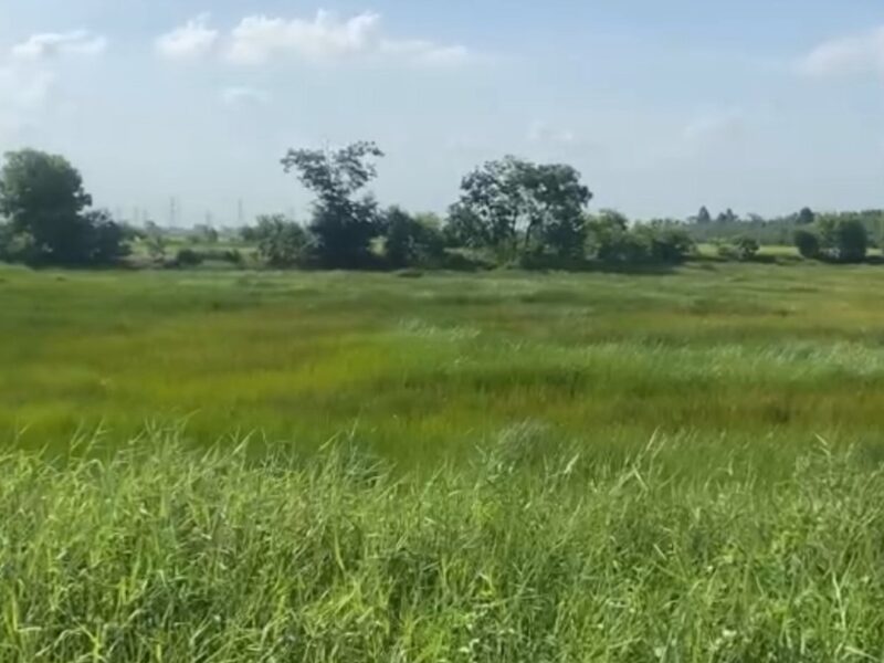 ขายที่ดินแปลงใหญ่ 216 ไร่ ติดถนนพหลโยธิน อำเภอวังน้อย จ.พระนครศรีอยุธยา