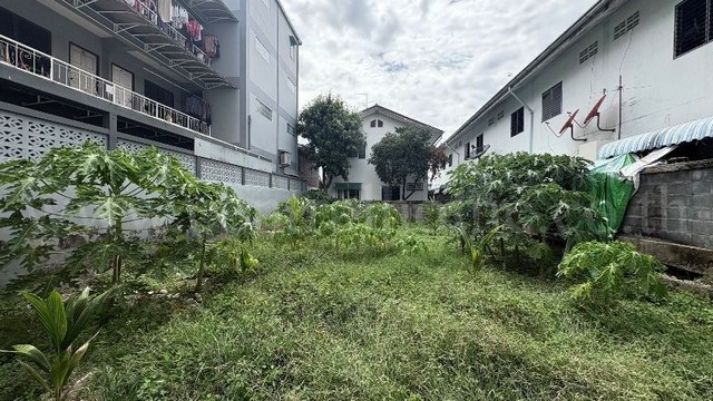 ลดราคา ที่ดินเปล่า ซอยประดับศุข ใกล้ โรบินสันศรีสมาน ทำเลดี ราคาถูก