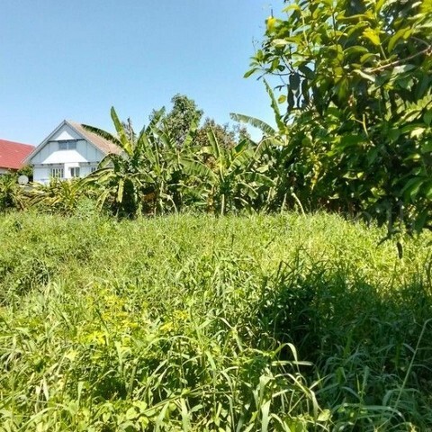 ขายด่วน ที่ดินเปล่า 347 ตร.ว ถมแล้ว ซอยร่วมใจพัฒนา บางขุนกอง ใกล้โฮมโปรราชพฤกษ์ นครอินทร์