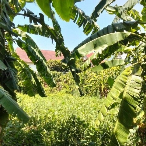 ขายด่วน ที่ดินเปล่า 347 ตร.ว ถมแล้ว ซอยร่วมใจพัฒนา บางขุนกอง ใกล้โฮมโปรราชพฤกษ์ นครอินทร์