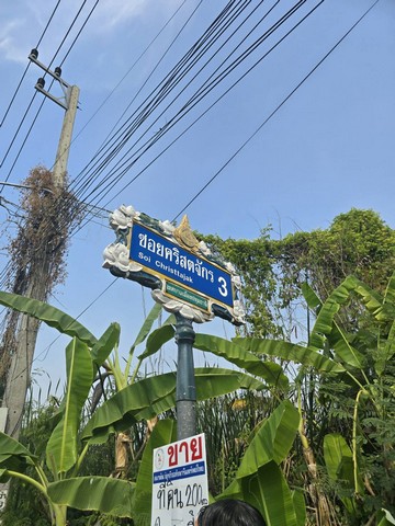 ขาย ที่ดิน - ปทุมธานี 200 ตารางวา 23000 บาท ใกล้กับ โรงเรียนปทุมวิไล ศาลากลางปทุมธานี โลตัสปทุมธานี โรงพยาบาลปทุมธานี