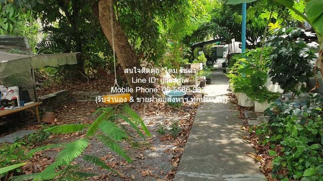 DSL-671 ขาย ที่ดิน ขายที่ดินบ้านสวนแปลงใหญ่ ใจกลางเมือง เนื้อที่ 493 ตร.ว. (ใกล้ MRT พระราม 9) 120 ล้านบาท 120000000 บาท ใกล้กับ MRT พระราม