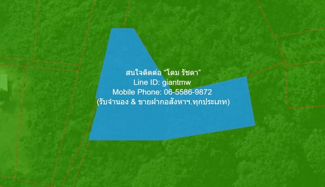 DSL-1015 ขาย ที่ดิน ขายที่ดินเปล่า 2-0-64.1 ไร่ ท่าโพธิ์ จ.พิษณุโลก ราคา 1.60 ล้านบาท 1600000 บาท 2 ไร่ 864 ตร.วา ใกล้กับ ใกล้แม่น้ำน่าน