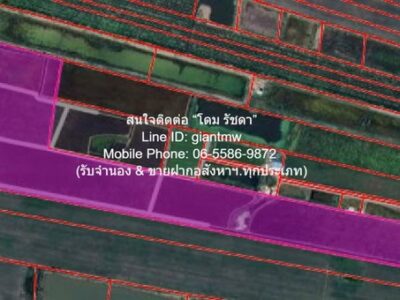 DSL-1016 ขาย ที่ดิน ขายที่ดินทุ่งนา 103-0-44 ไร่ ศรีจุฬา อ.เมืองนครนายก นครนายก ราคา 31 ล้านบาท ใกล้กับ วัดศรีจุฬา