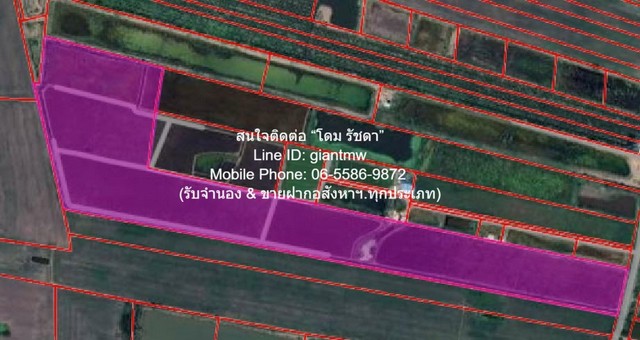 DSL-1016 ขาย ที่ดิน ขายที่ดินทุ่งนา 103-0-44 ไร่ ศรีจุฬา อ.เมืองนครนายก นครนายก ราคา 31 ล้านบาท ใกล้กับ วัดศรีจุฬา