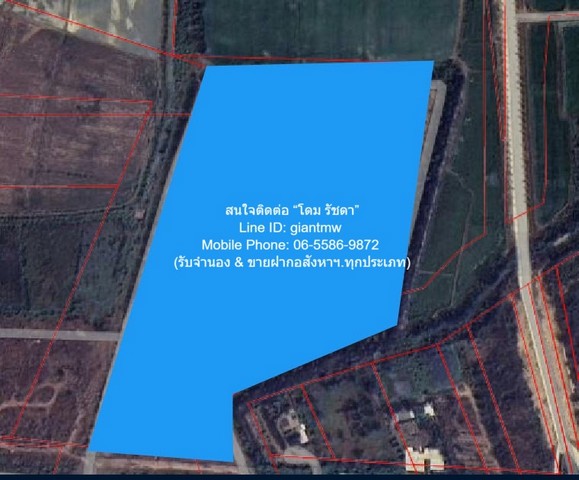 DSL-1019 ขาย ที่ดิน ขายบ้านพร้อมที่ดินสวนมะพร้าว มะม่วง บึงพระ จ.พิษณุโลก ติดถนนเลี่ยงเมืองพิษณุโลก 56-0-17 ไร่ ราคา 199 ล้านบาท 199000000