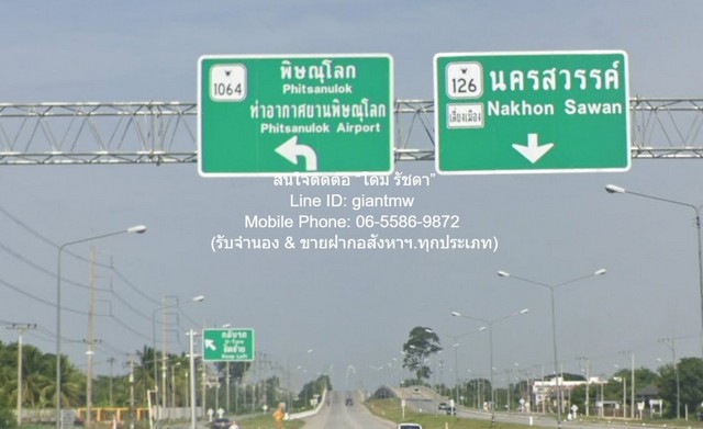 DSL-1019 ขาย ที่ดิน ขายบ้านพร้อมที่ดินสวนมะพร้าว มะม่วง บึงพระ จ.พิษณุโลก ติดถนนเลี่ยงเมืองพิษณุโลก 56-0-17 ไร่ ราคา 199 ล้านบาท 199000000