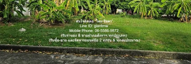 DSL-693 ขาย ที่ดิน ขายที่ดินเปล่าถมแล้ว (แปลงหัวมุม) ในหมู่บ้านจัดสรร 116.30 ตร.ว. แถวสะพานใหม่ (BTS สายหยุด) ราคา 7.9 ล้าน 1 งาน 116