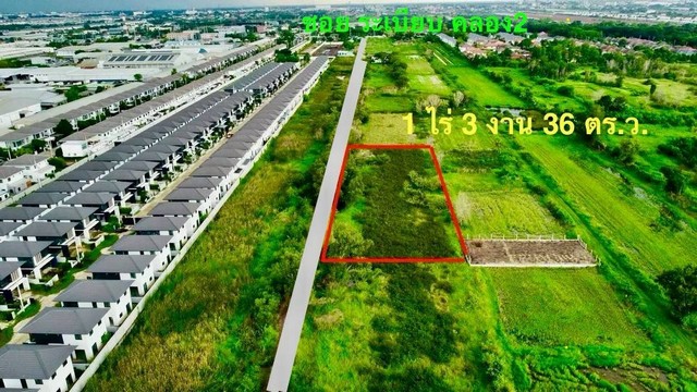ขายที่ดิน คลองสอง คลองหลวง ไร่ละ 2.5 ล้าน อ.คลองหลวง จ.ปทุมธานี