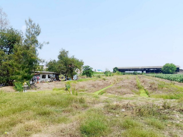 ขายที่ดินติดถนนแคราย-พุทธสาคร-หนองแขม อำเภอกระทุ่มแบน จังหวัดสมุทรสาคร เนื่อที่ 8 ไร่ 2 งาน