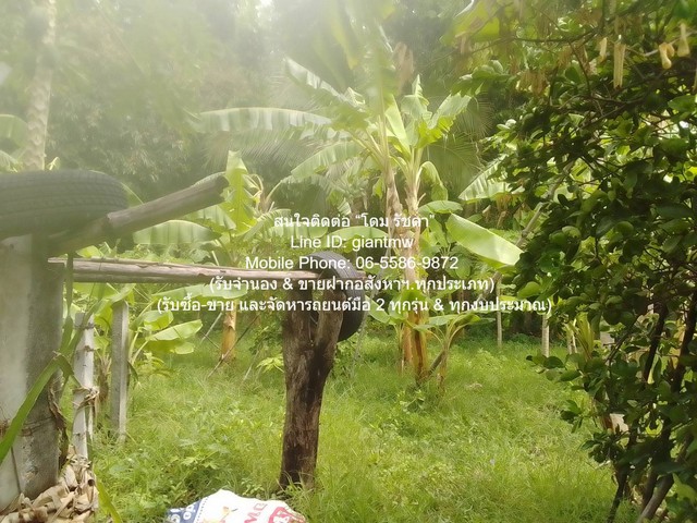 DSL-1009.1 ขาย ที่ดิน ขายที่ดินเกษตรกรรมผืนใหญ่ 3-0-27.3 ไร่ ถนนพิบูลสงคราม นนทบุรี ใกล้กับ ห่างสถานี MRT แยกติวานนท์ ประมาณ 1.8 กม.