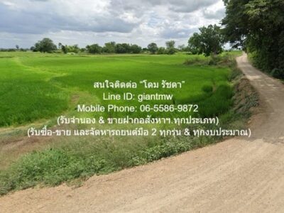 DSL-1030 ขาย ที่ดิน //ต่ำกว่าราคาประเมิน//ขายที่ดินทุ่งนาข้าว อ.นครหลวง จ.พระนครศรีอยุธยา 17-0-76 ไร่ 17 ไร่ 6876 ตร.วา ชั้นทั้งหมด 1 ชั้น