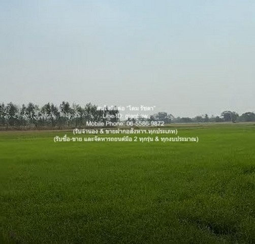 DSL-1030 ขาย ที่ดิน //ต่ำกว่าราคาประเมิน//ขายที่ดินทุ่งนาข้าว อ.นครหลวง จ.พระนครศรีอยุธยา 17-0-76 ไร่ 17 ไร่ 6876 ตร.วา ชั้นทั้งหมด 1 ชั้น