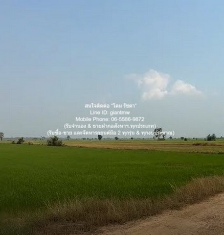 DSL-1030 ขาย ที่ดิน //ต่ำกว่าราคาประเมิน//ขายที่ดินทุ่งนาข้าว อ.นครหลวง จ.พระนครศรีอยุธยา 17-0-76 ไร่ 17 ไร่ 6876 ตร.วา ชั้นทั้งหมด 1 ชั้น