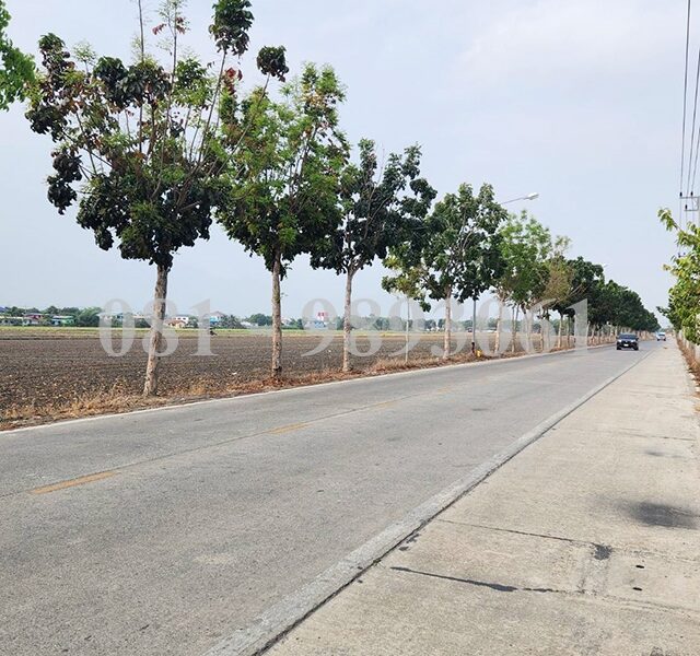 ขายที่ดิน 55 ไร่ คลอง 6 เหมาะพัฒนาเป็นโครงการแนวราบ