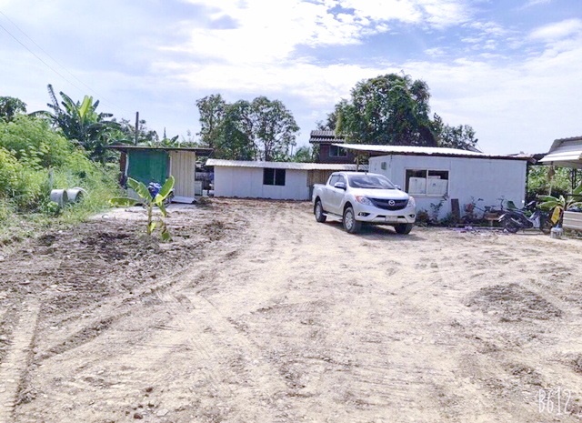 ที่ดินให้เช่าบางพลี 175 ตร.ว. 700 ตร.ม. ตรงข้ามโรงแรมเลอทาน่า ใกล้โรงพยาบาลจุฬารัตน์ 3 อินเตอร์ 200 ม. ดูโฮม เทพารักษ์ 650 ม. ถนนเทพารักษ์