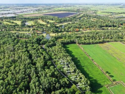 ขายที่ดินใกล้ Dynasty Golf & Country Club แปลง 1 เนื้อที่ 180 ตร.วา บางเลน นครปฐม ราคา 882000 บาท