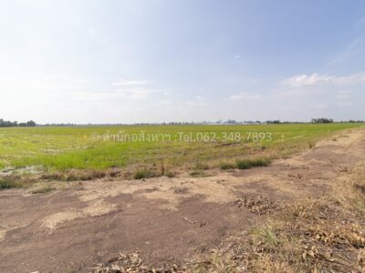 ขายที่ดินเปล่า (ปัจจุบันเป็นที่นา) เนื้อที่ 20 ไร่ ทรงสวยสี่เหลี่ยม ต.วังพัฒนา อ.บางซ้าย จ.พระนครศรีอยุธยา