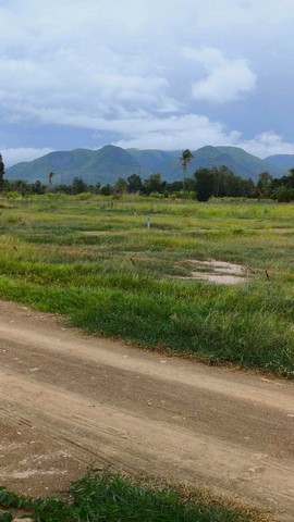 1 ขาย ที่ดิน ที่ดินวิวเขาใกล้ทะเลชะอำ เพชรบุรี 200000 บาท 100 ตร.วา เพชรบุรี ชะอำ