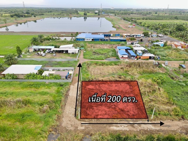 1 ขาย ที่ดิน ที่ดินใกล้กรุงฯ คลอง9หนองเสือ ใกล้ชุมชน 200ตรว. เพียง 7.5แสนเท่านั้น ปทุมธานี To86-3ol-6l6l 750000 บาท 200 ตารางวา