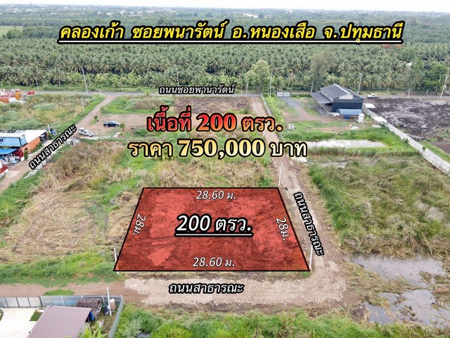 1 ขาย ที่ดิน ที่ดินใกล้กรุงฯ คลอง9หนองเสือ ใกล้ชุมชน 200ตรว. เพียง 7.5แสนเท่านั้น ปทุมธานี To86-3ol-6l6l 750000 บาท 200 ตารางวา