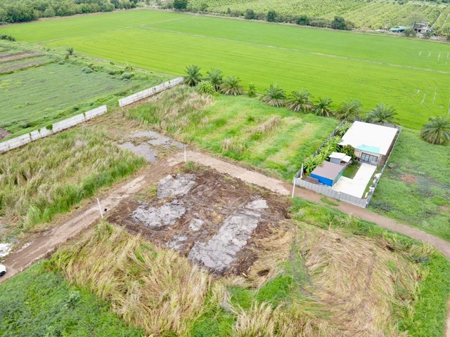 1 ขาย ที่ดิน ที่ดินใกล้กรุงฯ คลอง9หนองเสือ ใกล้ชุมชน 200ตรว. เพียง 7.5แสนเท่านั้น ปทุมธานี To86-3ol-6l6l 750000 บาท 200 ตารางวา