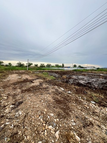 1 ขาย ที่ดิน ที่ดินใกล้กรุงฯ คลอง9หนองเสือ ใกล้ชุมชน 200ตรว. เพียง 7.5แสนเท่านั้น ปทุมธานี To86-3ol-6l6l 750000 บาท 200 ตารางวา