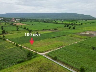 1 ขาย ที่ดิน ถูกสุด ที่วิวเขา ติดถนนคอนกรีต1แสนบาท 100ตรว. วังเพลิน โคกสำโรง ลพบุรี T .086-301-6161 100 ตารางวา ลพบุรี 100000 บาท