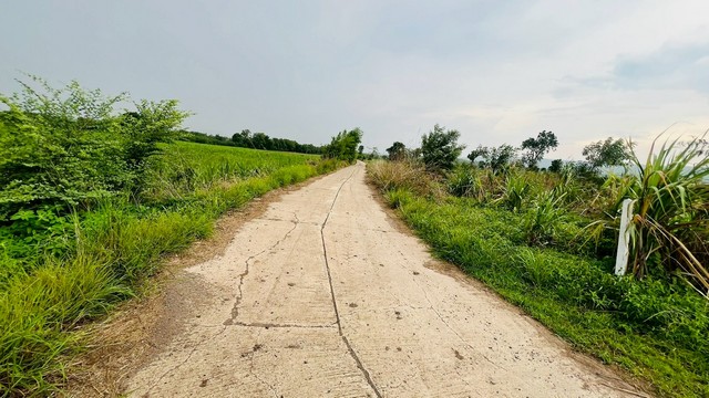 1 ขาย ที่ดิน ถูกสุด ที่วิวเขา ติดถนนคอนกรีต1แสนบาท 100ตรว. วังเพลิน โคกสำโรง ลพบุรี T .086-301-6161 100 ตารางวา ลพบุรี 100000 บาท