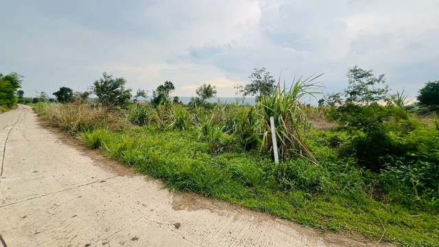 1 ขาย ที่ดิน ถูกสุด ที่วิวเขา ติดถนนคอนกรีต1แสนบาท 100ตรว. วังเพลิน โคกสำโรง ลพบุรี T .086-301-6161 100 ตารางวา ลพบุรี 100000 บาท