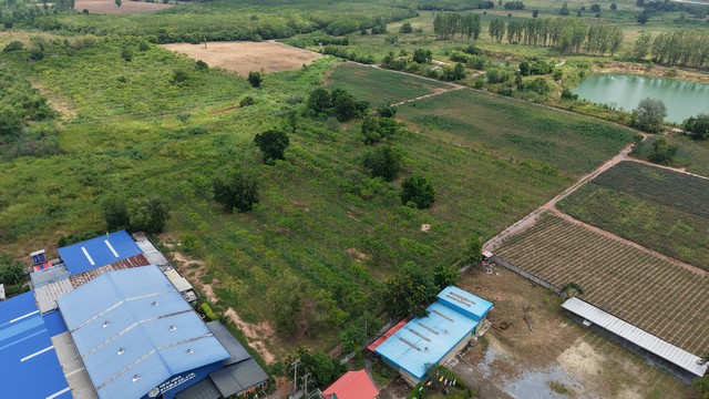 ที่ดินแปลงสวย ถนนซอยพลูตาหลวง50 แปลงเหลี่ยมสวย พร้อมต้นยางอายุประมาณ 2 ปี
