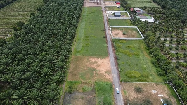 ขายที่ดินบ้านสวน คลอง 9 ปทุมธานี แปลงสวย 1 ไร่เต็ม เริ่มเพียง 1.89 ล้าน (ใกล้ตลาดคลอง 8 วิลล่า)