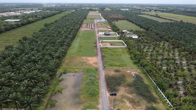 ขายที่ดินบ้านสวน คลอง 9 ปทุมธานี แปลงสวย 1 ไร่เต็ม เริ่มเพียง 1.89 ล้าน (ใกล้ตลาดคลอง 8 วิลล่า)
