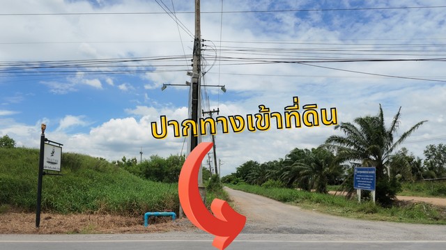ขายที่ดินบ้านสวน คลอง 9 ปทุมธานี แปลงสวย 1 ไร่เต็ม เริ่มเพียง 1.89 ล้าน (ใกล้ตลาดคลอง 8 วิลล่า)